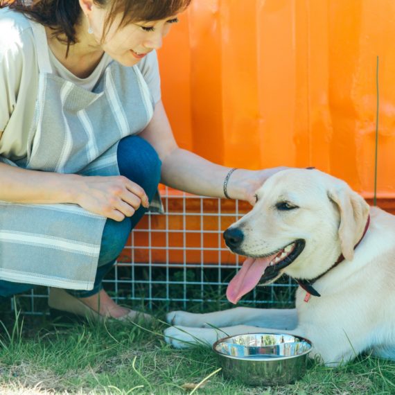 犬とペットショップ